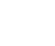 Flag Icon