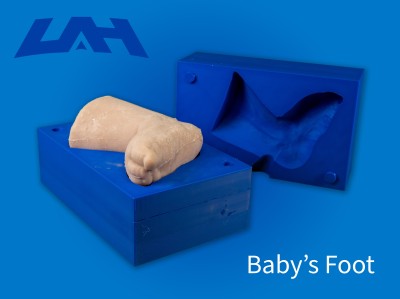Baby's Foot