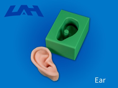 Ear