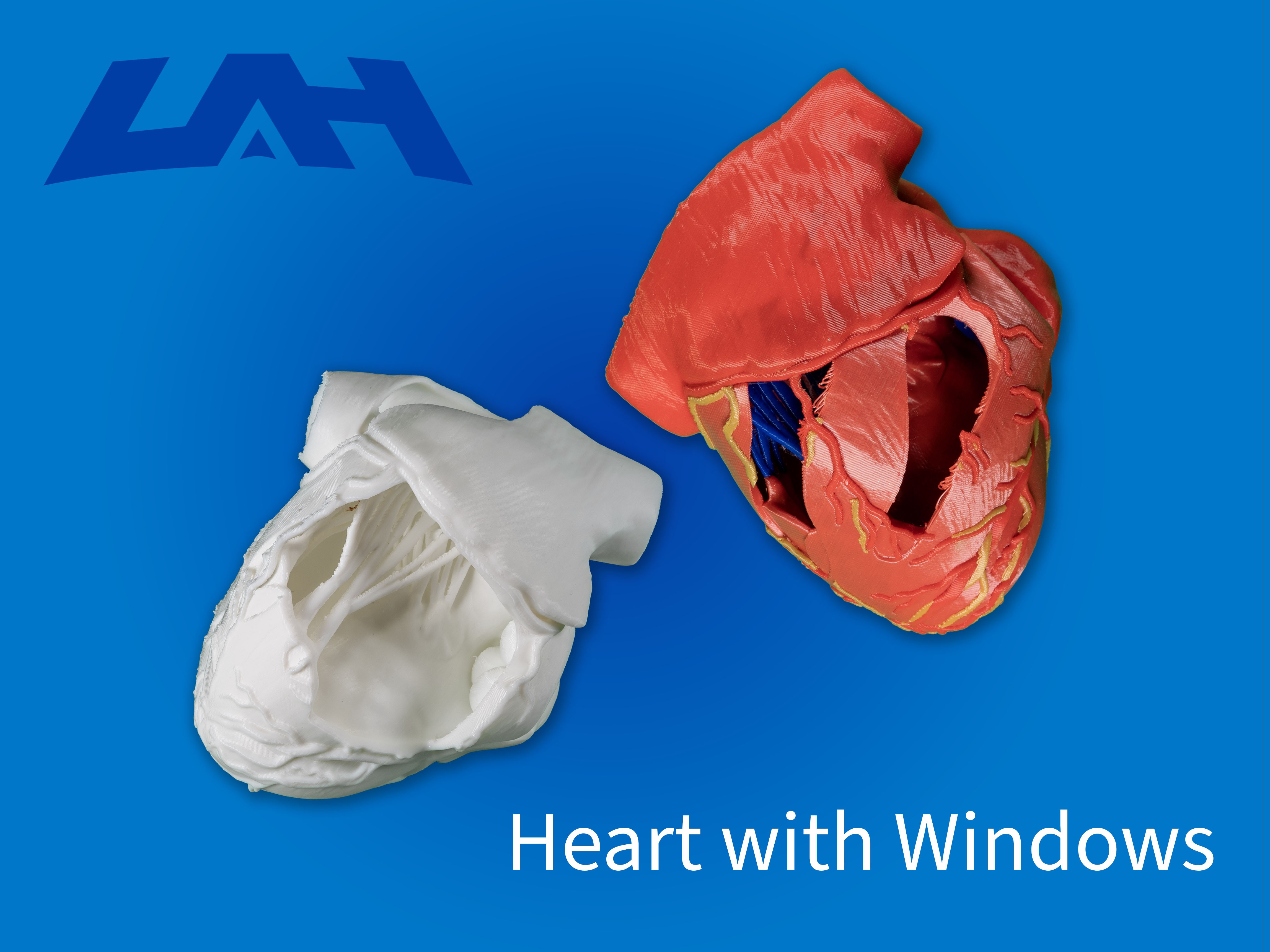 Heart with Windows