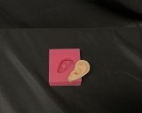 Ear