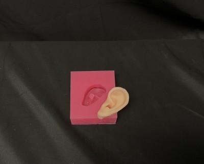 Ear
